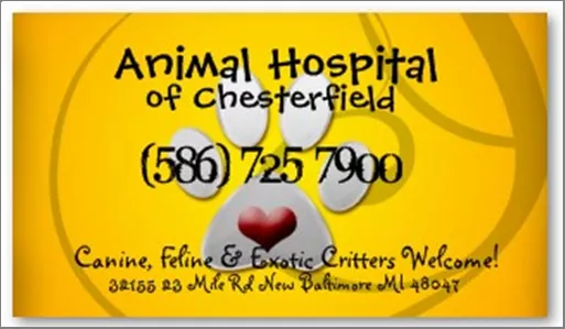Animal Hospital of Chesterfield, Michigan, Chesterfield